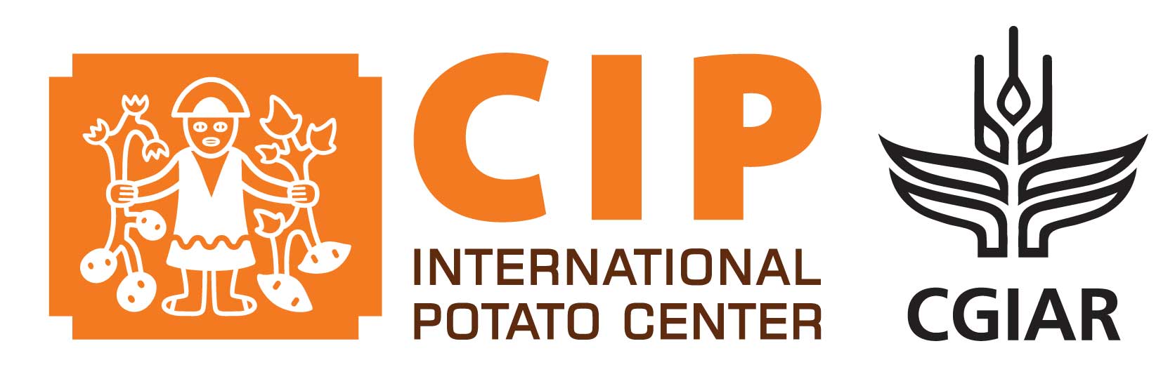 CIP